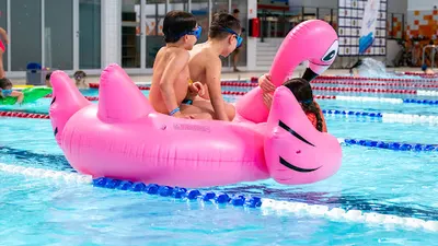 Feel The Water - UMED (WAM). Nauka pływania Łódź - szkoła pływania - trener pływania - pływanie dla dzieci i dorosłych